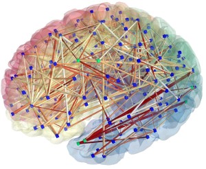 The brain represented as a network: image obtained from MR connectomics. (Provided by Patric Hagmann, CHUV-UNIL, Lausanne, Switzerland)