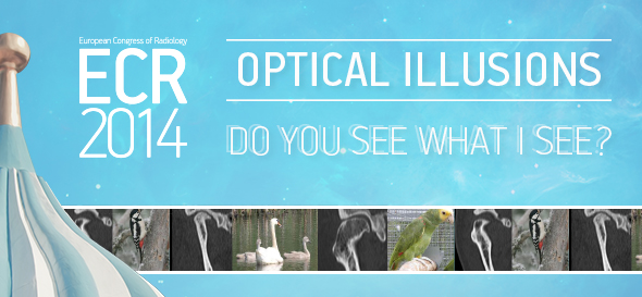 ECR2014_OpticalIllusions_Blog_Final