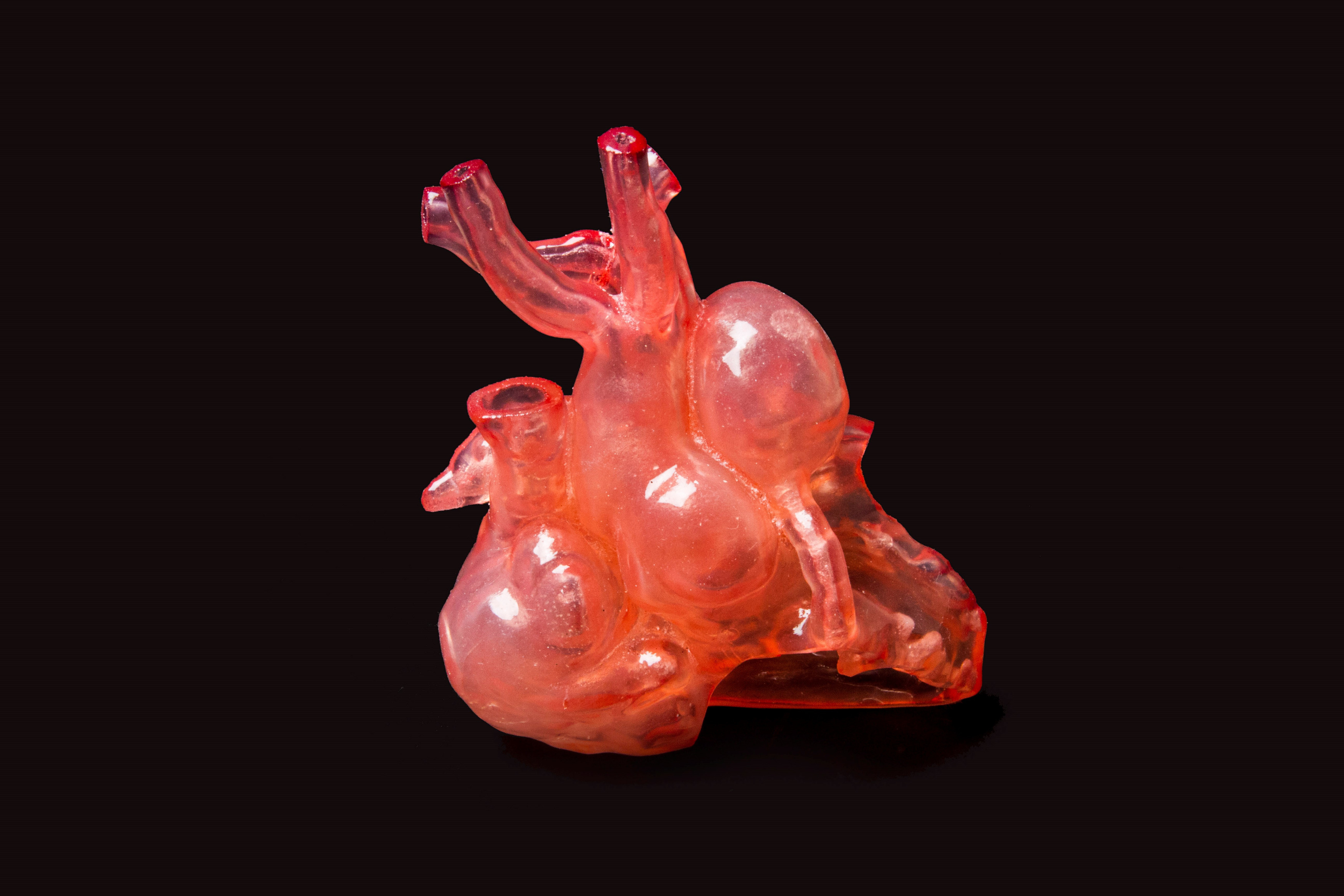 3D-printed heart